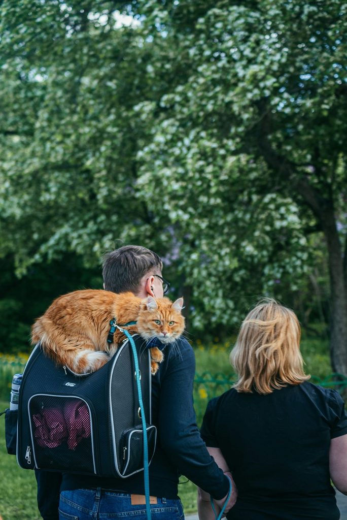a man with a backpack and a cat on his back